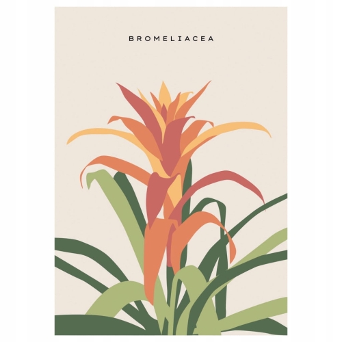 Plakat Tropiki rośliny natura kwiat kobieta