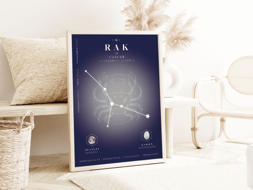 Mockup 1_Rak.jpg