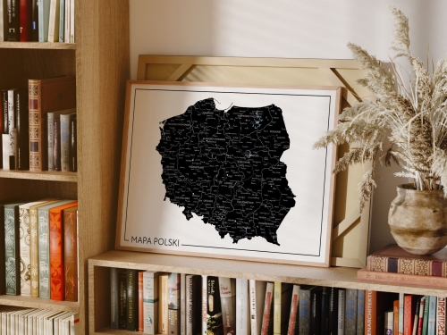Mockup 2_Mapa Polski 2024 B&W 2_Obszar roboczy 1.jpg