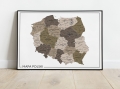 Miniaturka_Mapa Polski 2024 Wielokolorowa 1-01.jpg