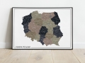 Miniaturka_Mapa Polski 2024 Wielokolorowa 9-01.jpg