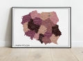 Miniaturka_Mapa Polski 2024 Wielokolorowa 11-01.jpg