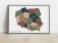 Miniaturka_Mapa Polski 2024 Wielokolorowa 16-01.jpg