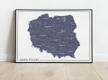 Miniaturka_Mapa Polski 2024 Wzór 9-01.jpg