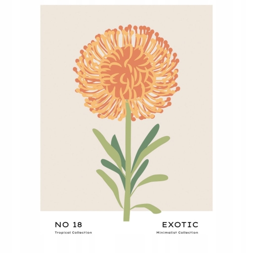 Plakat Tropiki rośliny natura kwiat kobieta