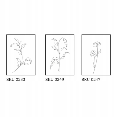Plakat Line Art Rośliny różne do wyboru