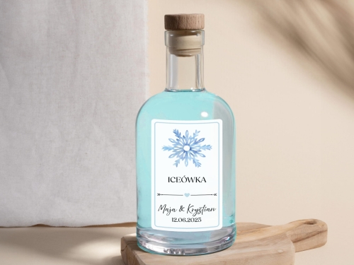 Etykiety Alko 2025 Mockup 4_ICEÓWKA kolorowa-02.jpg