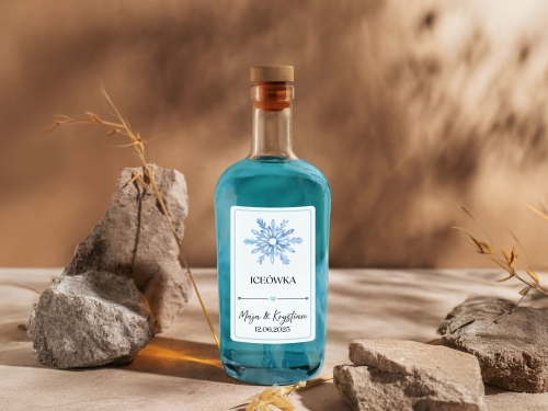 Etykiety Alko 2025 Mockup 1_ICEÓWKA kolorowa-02.jpg