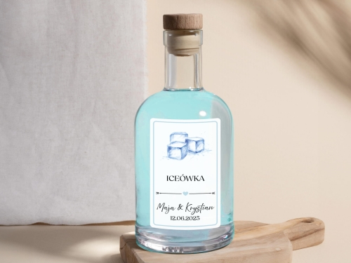 Etykiety Alko 2025 Mockup 4_ICEÓWKA kolorowa-03.jpg