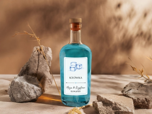 Etykiety Alko 2025 Mockup 1_ICEÓWKA kolorowa-03.jpg