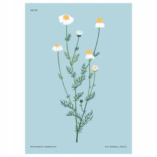 Plakat botaniczny kwiaty rośliny natura