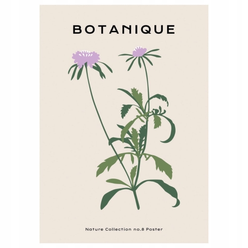 Plakat botaniczny kwiaty rośliny natura