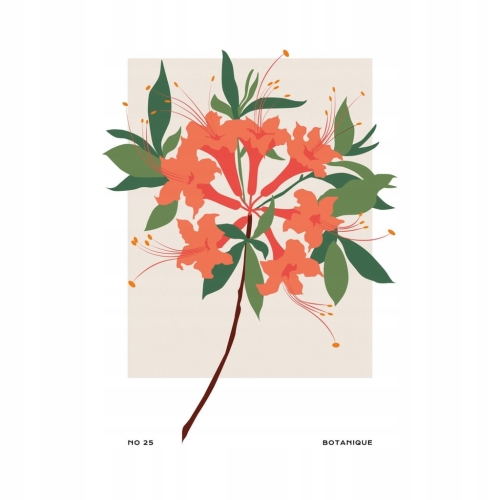 Plakat botaniczny kwiaty rośliny natura