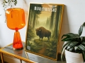 Mockup 4_Parki Narodowe-03.jpg