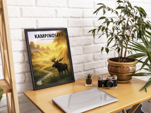 Mockup 1_Parki Narodowe-07.jpg