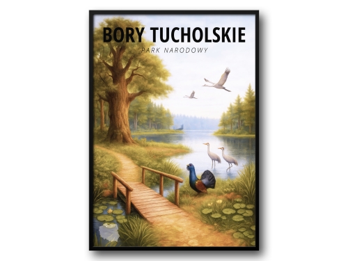 Plakat Bory Tucholskie Park Narodowy