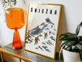 Mockup 4_Zabawne Polskie Miasta-21.jpg
