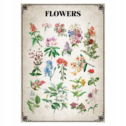 Plakat Vintage Botanical Flowers