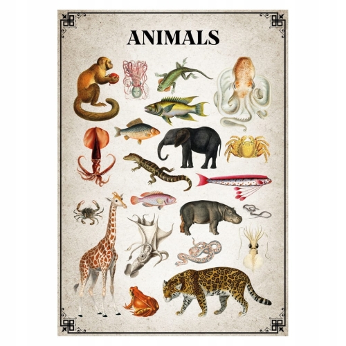 Plakat Vintage Botanical Animals