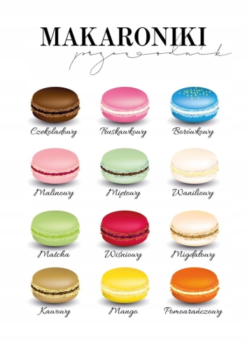 Plakat Przewodn Rodzaje Makaroniki do kuchni