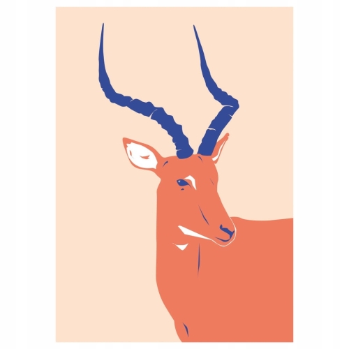 Plakat Dzika Przyroda Natura Zwierzęta