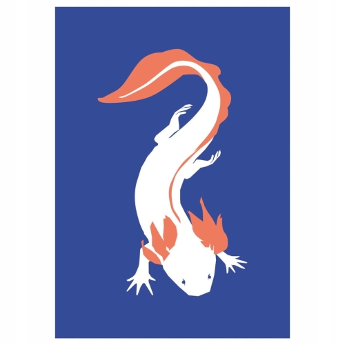 Plakat Dzika Przyroda Natura Zwierzęta