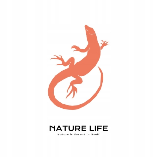 Plakat Dzika Przyroda Natura Zwierzęta
