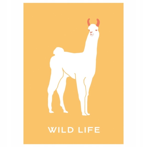Plakat Dzika Przyroda Natura Zwierzęta