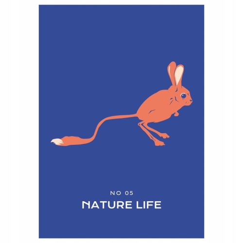 Plakat Dzika Przyroda Natura Zwierzęta